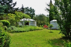 33784913_10156573736193866_4221898039595368448_n