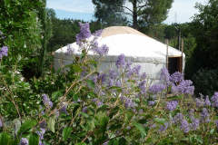 thumbnail_Y.MONGOLE-ORANGE-5