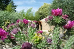 thumbnail_Y.SAÏGA-3